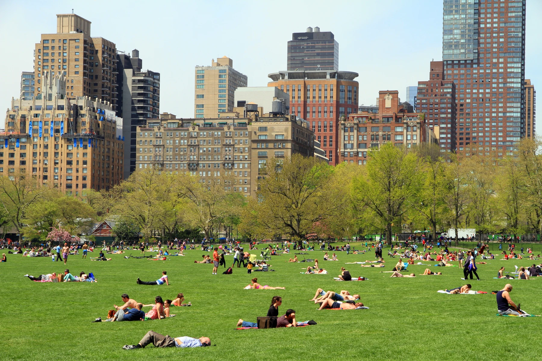 Central Park · Il cuore verde di Manhattan